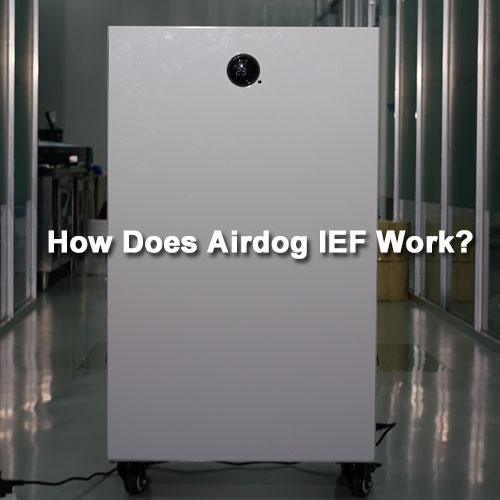 How Does Airdog IEF Work?